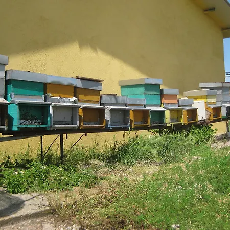 Bauernhof E Agricamping Le Nosare