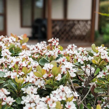 E Agricamping Le Nosare Farm stay Valeggio sul Mincio