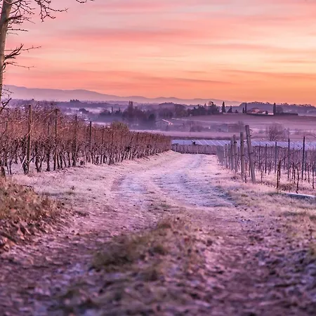 Farm stay E Agricamping Le Nosare
