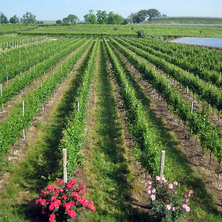 Farm stay E Agricamping Le Nosare *