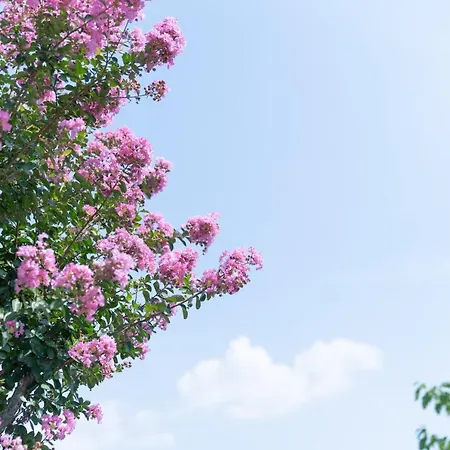 E Agricamping Le Nosare Farm stay Valeggio sul Mincio
